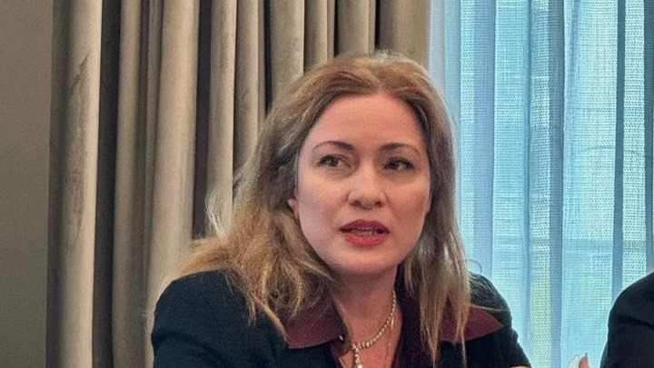 Η γγ Απόδημου Ελληνισμού και Δημόσιας Διπλωματίας, Μάιρα Μυρογιάννη