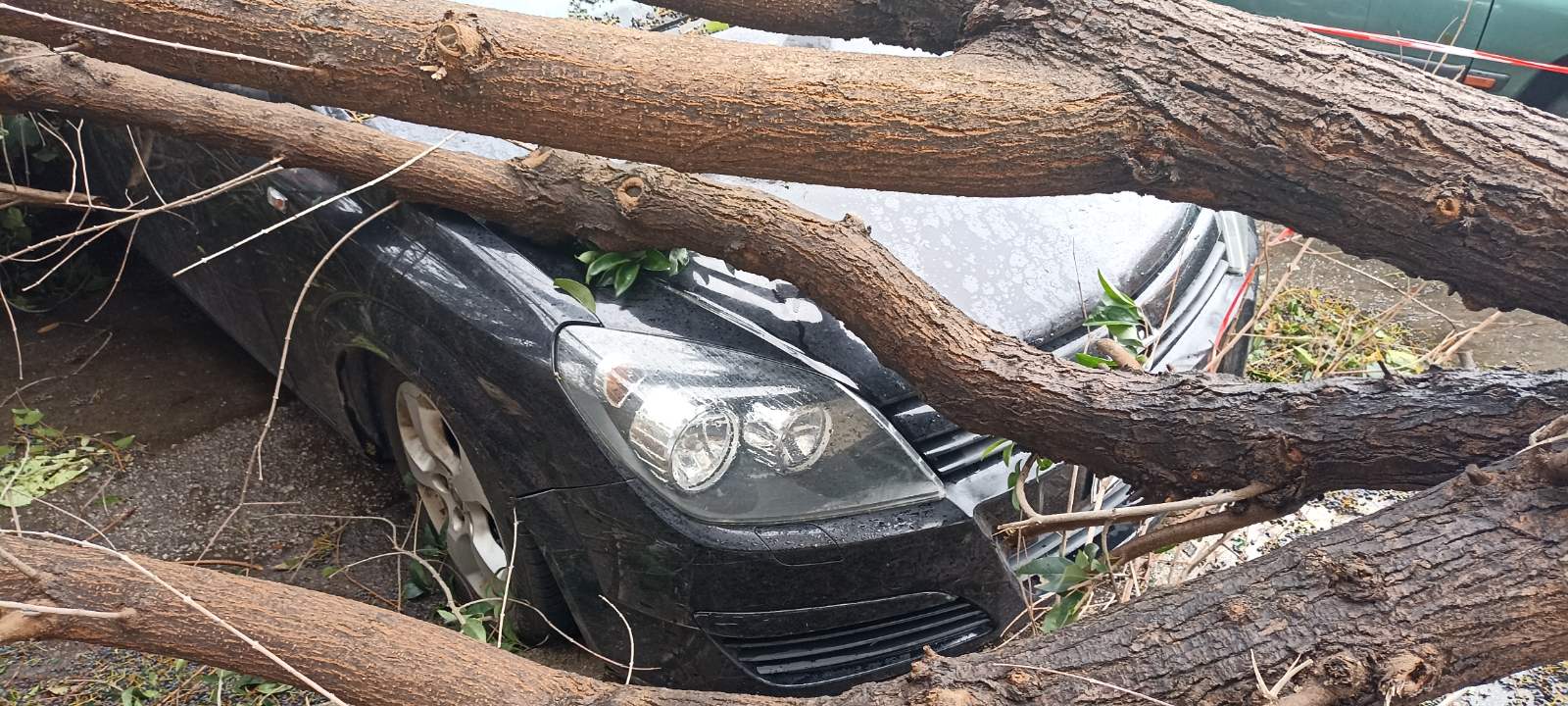 Πτώση δέντρου σε αυτοκίνητο