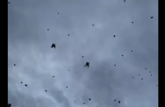 Αράχνες αιωρούνται στον ουρανό της Βραζιλίας