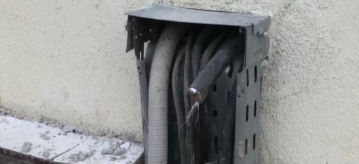 kalwdia viologikos LHTH KLEPSIA