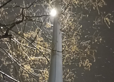 xionia thessaloniki apogeuma 120125