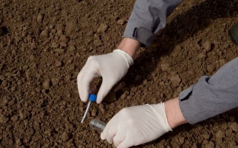 gantia yliko nikoloyli