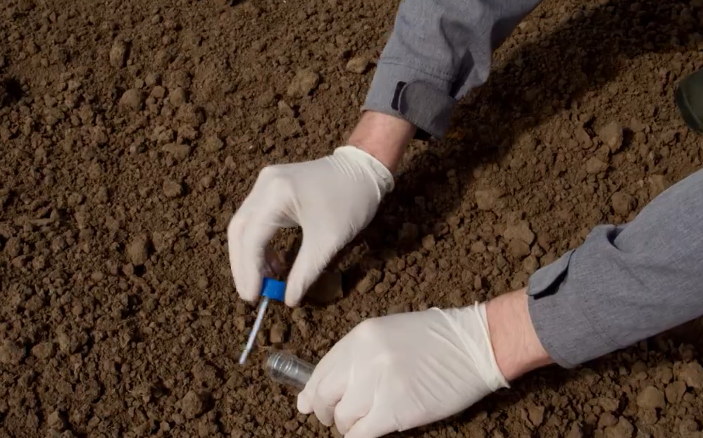 gantia yliko nikoloyli