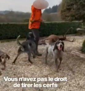 luc besson garden hunters deer