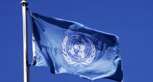 symvoulio anthrwpinwn dikaiwmatwn ohe