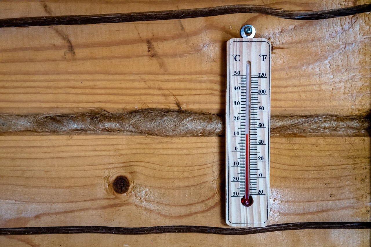 thermometer-5081631_1280