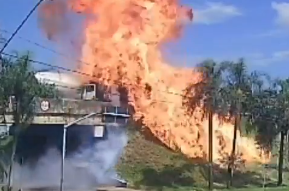 troxaio arapoti brazilia fortiga