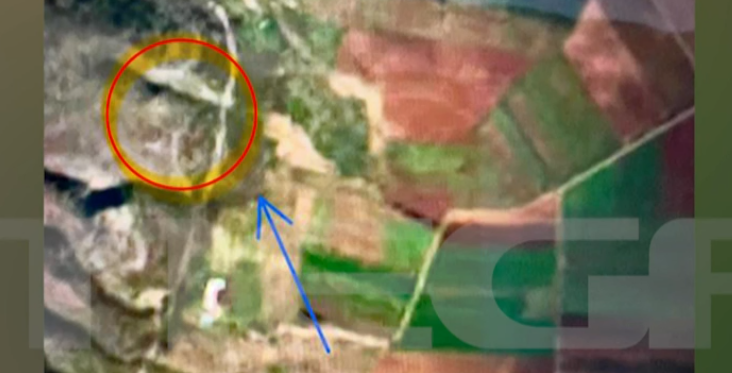 vasilis kalogiroy doriforiki eikona