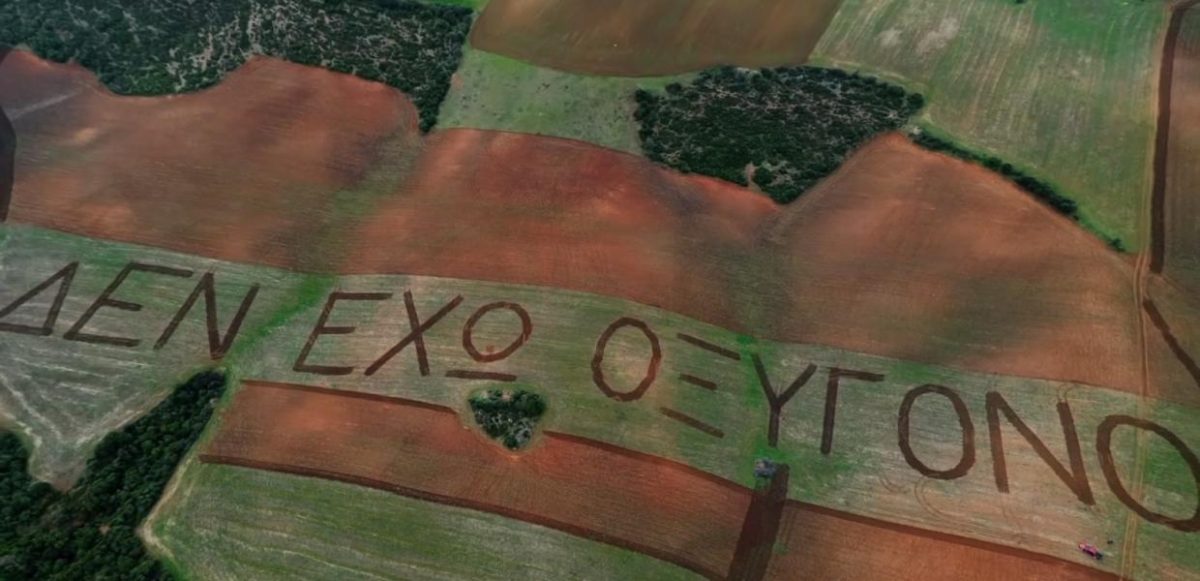 xorafi-oxigono-1200x581