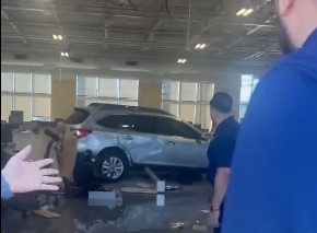 autokinito california