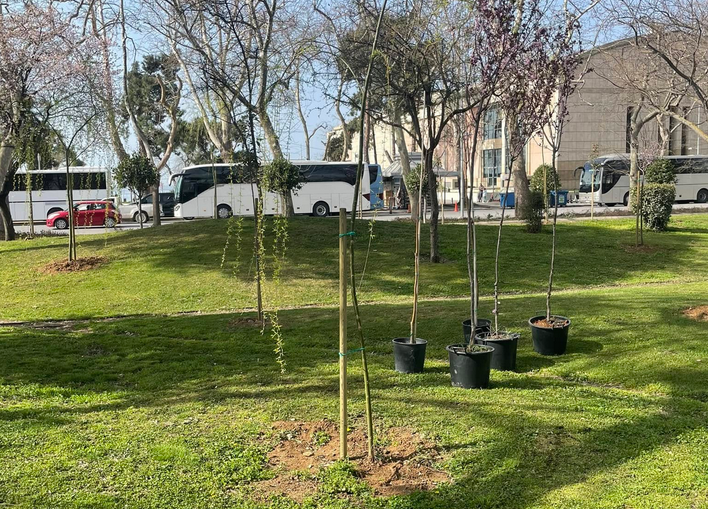 dendra nea parko ksarxakou