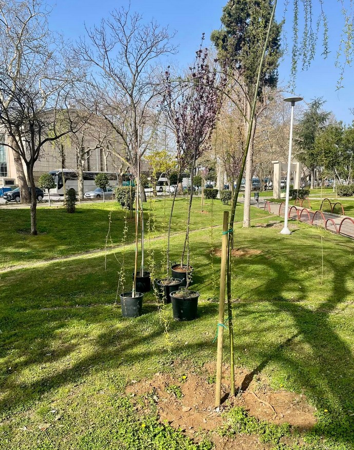 dendra parko ksarxakou thessaloniki