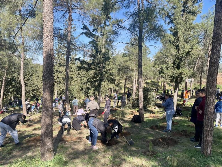 dendrofuteusi toumpa thessaloniki