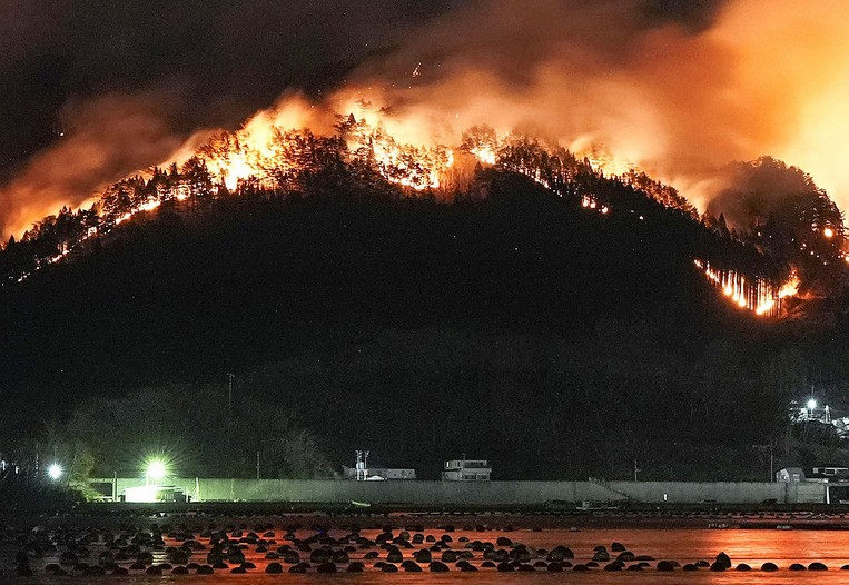 iapwnia dasikes fwties 2025 martios