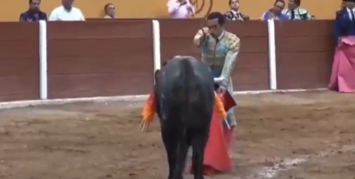 mexico tayromaxos traymatismos