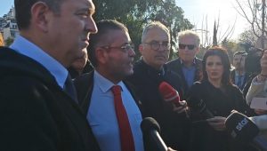 papadopoulos sarakis pinakothiki