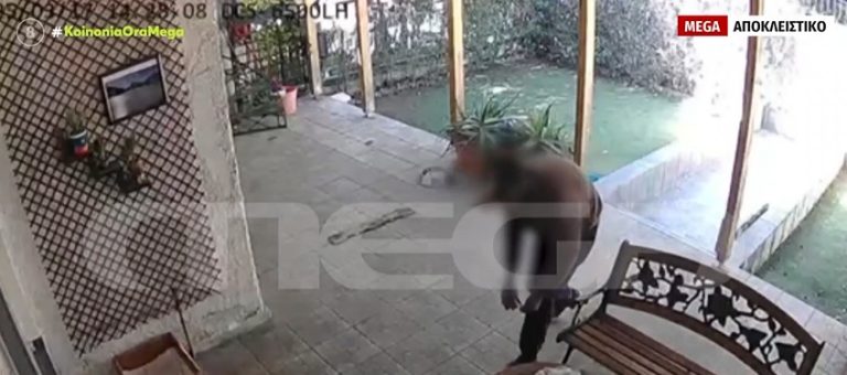 video apo klopi skulou apo auli spitiou axarnai