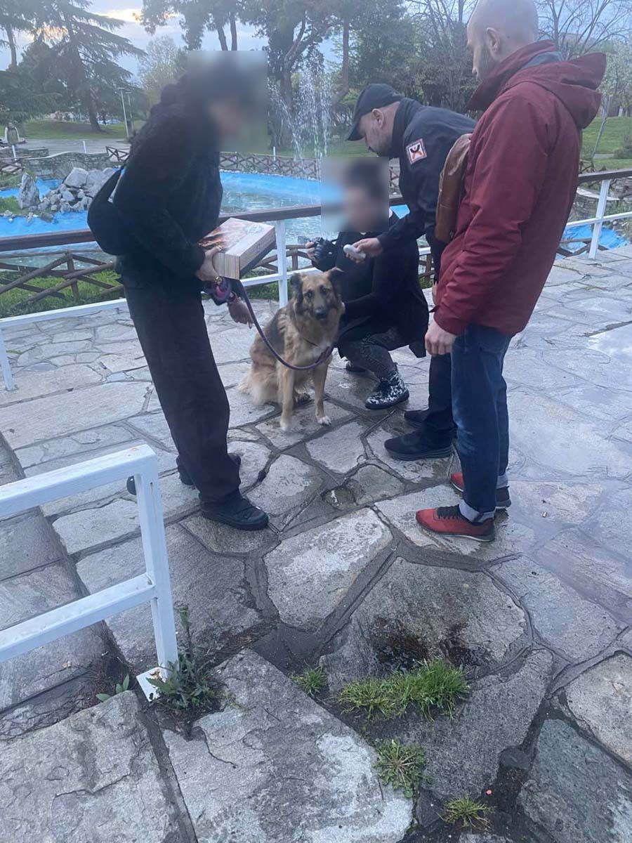 έλεγχοι σε ιδιοκτήτες ζώων συντροφιάς