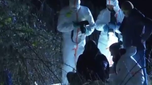 astynomia germania foyskwti koykla fonos