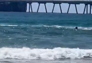 epithesi karxaria kolumviti israil