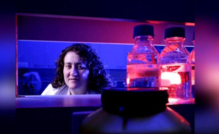 Ερευνήτρια Συμβολαιογράφος