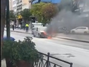 fwtia nekrofora athina