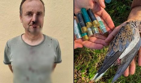 trigonia zakinthos epeisodio ornithologoi a