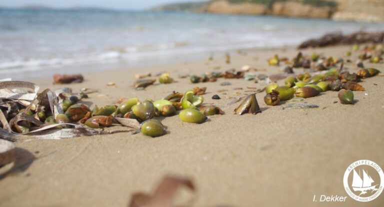 Αρχιπέλαγος Καρπόι Ποσειδωνίας