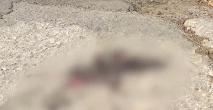 Ξυλοδαρμός 50χρονου στα Γλυκά Νερά