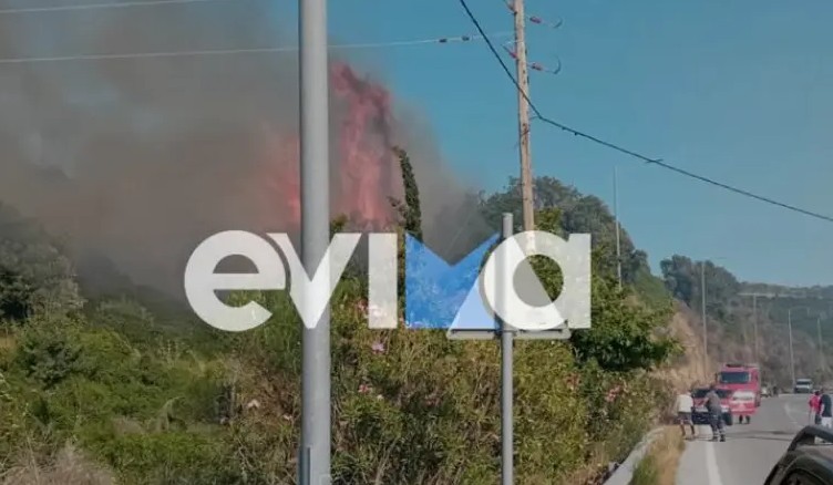 Φωτιά Εύβοια