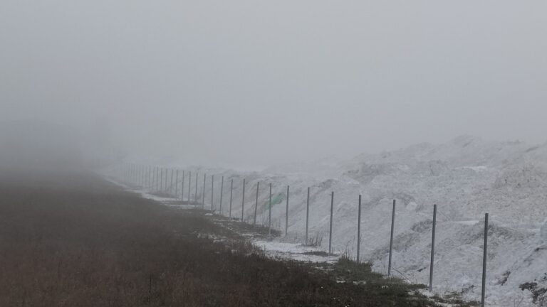 Περιβαλλοντική ρύπανση