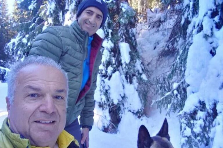 Δυστύχημα με αρκούδα