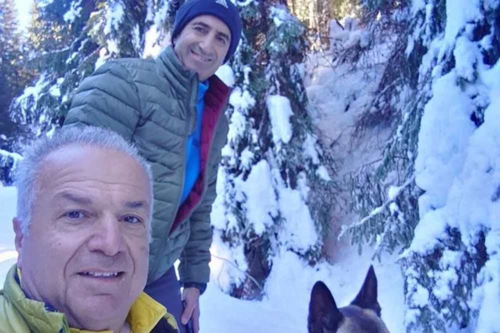 Δυστύχημα με αρκούδα