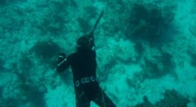 Δύτης ψαροντούφεκο