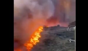 Δασική φωτιά στη Χίο