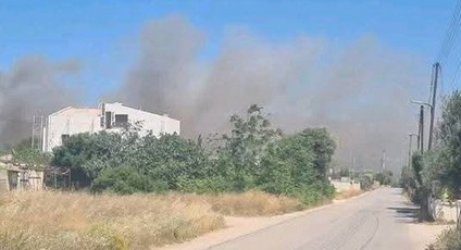 Φωτιά στην Ανάβυσσο