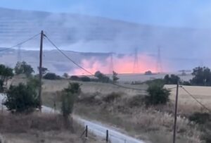 Φωτιά δρυμός