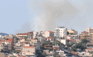 Φωτιά Ευκαρπία