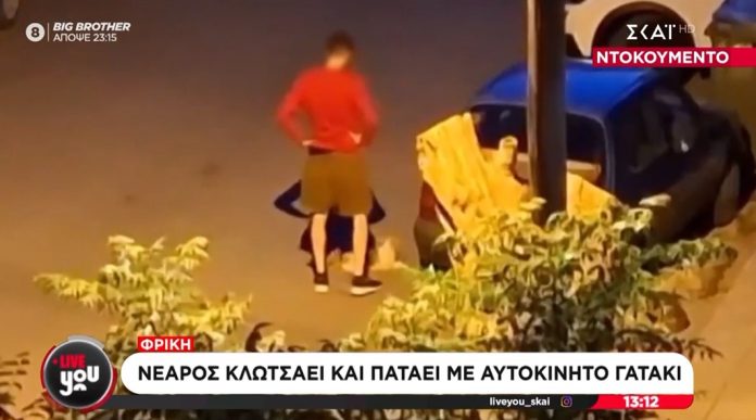 Nεαρός άνδρας, , κλωτσά με δύναμη ένα μικρό γατάκι και το πατά με το ΙΧ