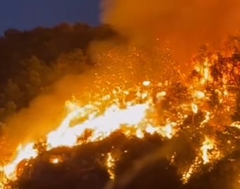 Φωτιά Πυρκαγιά