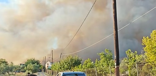 Φωτιά Ωρωπός