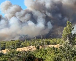 Φωτιά Ωρωπός