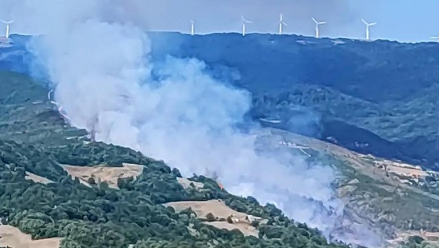 Φωτιά στην περιοχή Χλόη Ροδόπης