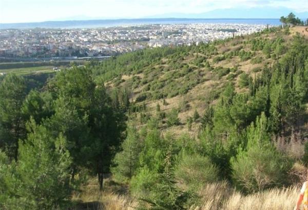 Σέιχ Σου το περιαστικό δάσος της Θεσσαλονίκης