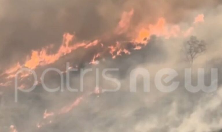 Φωτιά στο Χελιδόνι Ηλείας