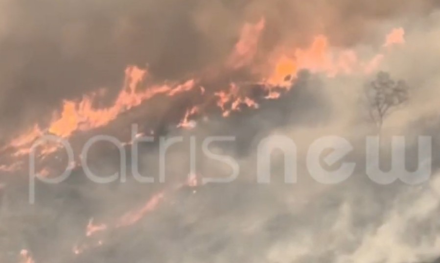 Φωτιά στο Χελιδόνι Ηλείας