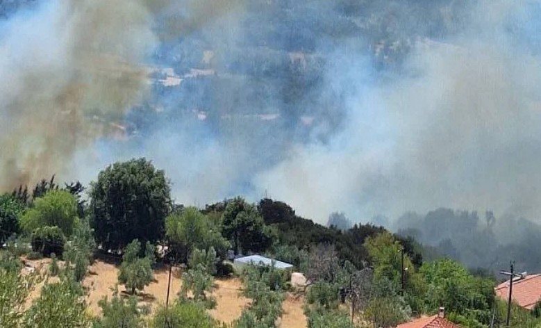 Φωτιά στην Πρέβεζα