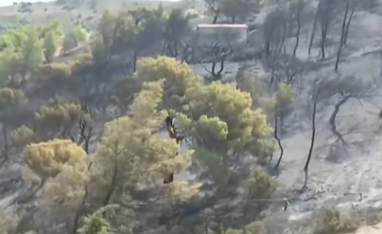 Φωτιά Αττική