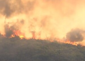 Φωτιά στην δυτική Αχαϊα