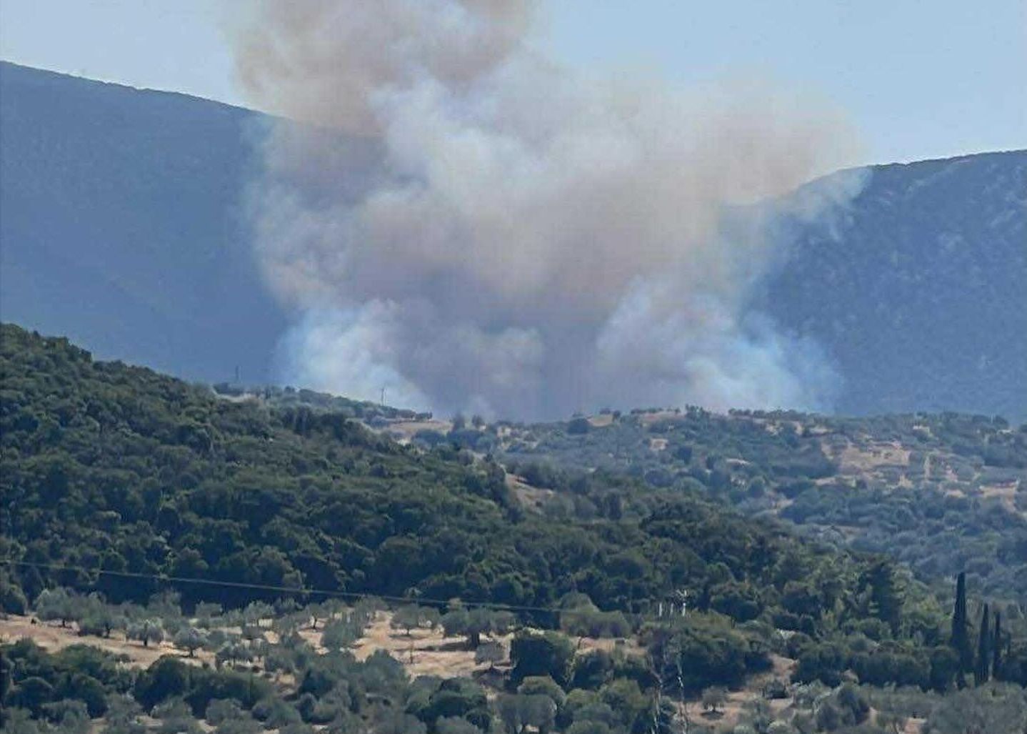 Φωτιά στην περιοχή Πελεή Αργολίδας